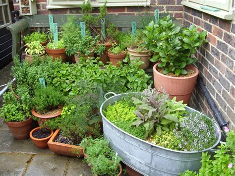 Growing Herbs in Containers - Making Herb and Vegetable …