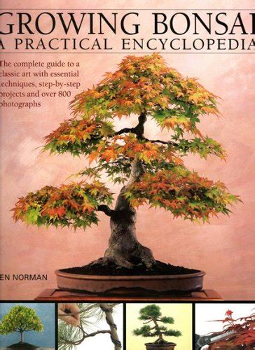 Growing bonsai a practical encyclopedia the essential practical guide to a classic art with techniques step by step. - One minute plays a practical guide to tiny theatre.