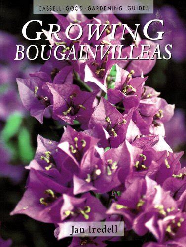 Growing bougainvilleas cassell good gardening guides. - La responsabilidad social en las empresas de comunicación.