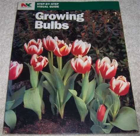 Growing bulbs step by step visual guide. - La guía del manga a la biología molecular.