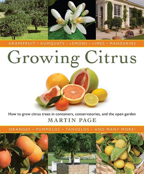 Growing citrus the essential gardeners guide. - Deutsche geschichte von 1918 bis 1938 in dokumenten.