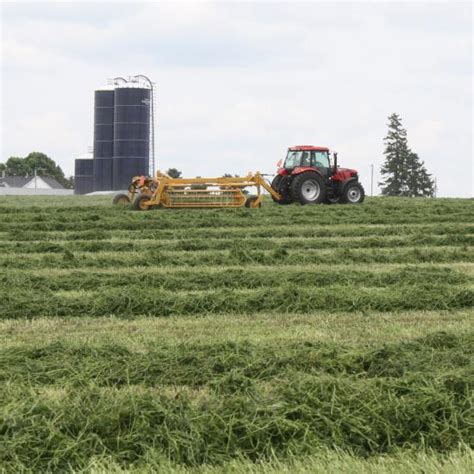 Growing good hay - Successful Farming