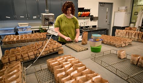 Growing pains? U of MN’s St. Paul soil testing lab to the rescue