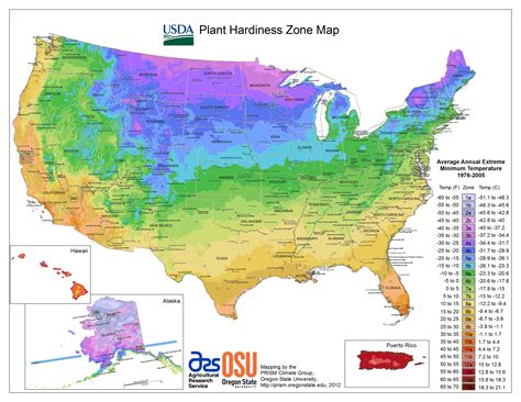 Growing zones in us. Sharing is caring! This map of climate zones will help you select plants for your garden that will survive a typical winter in your region. The United States Department of Agriculture … 