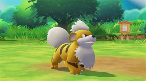 Growlithe - Pokemon: Let