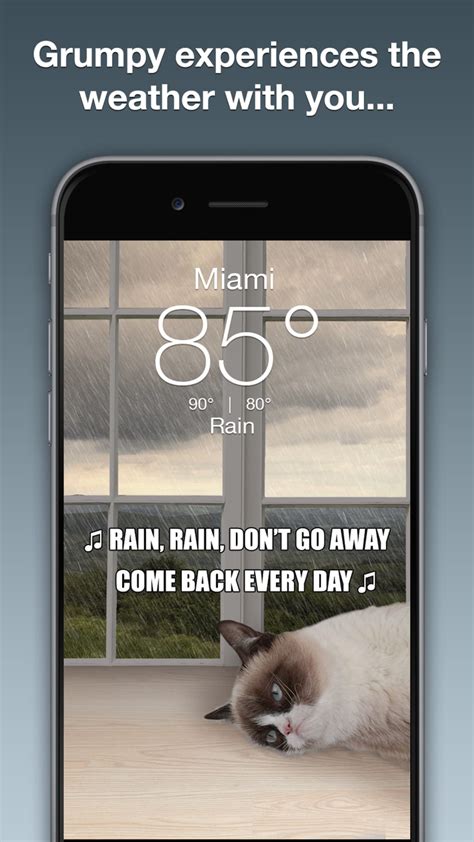 Grumpy Cat Weather APK Download for Android 