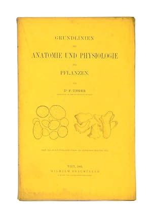 Grundlinien der anatomie und physiologie der pflanzen. - Handbook of drug interactions a clinical and forensic guide reprint.