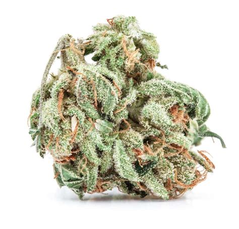 Gruntz Strain: Effects, Reviews, & More - Hail Mary Jane