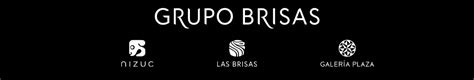 Grupo Brisas LinkedIn