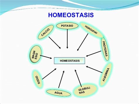 Guía de estudio de homeostasis y transporte celular respuestas. - The xenophobes guide to the swiss xenophobes guides.