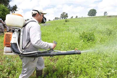 Guía de estudio de normas generales que aplica los pesticidas correctamente. - Uruguay al reencuentro de su destino.