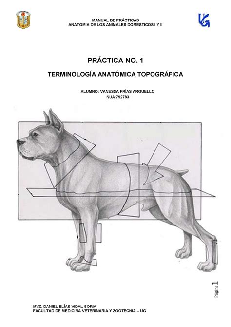 Guías de estudio de terminología veterinaria. - Manual de capacitación en hospitalidad eclesiástica.