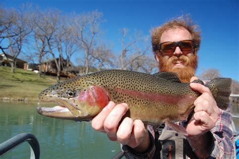 Guadalupe River Fly Fishing Report for Rainbow Trout, …