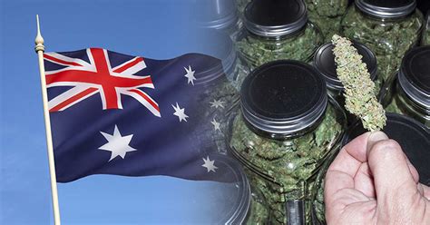 Guardian - How Legalising Cannabis In Australia Would Work