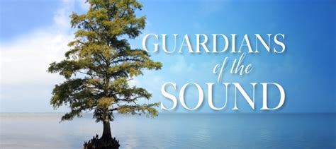 Guardians of the Sound: Bald Cypress Trees - My Outer Banks …