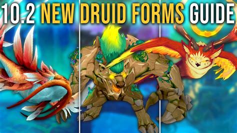 Guardians of the dream druid forms.  This patch brings many new customizations for all Druid...