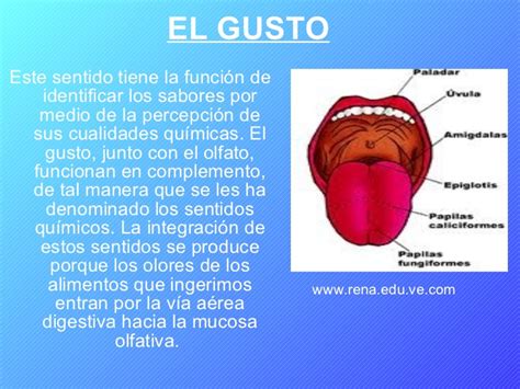 Guasto - Wikipedia