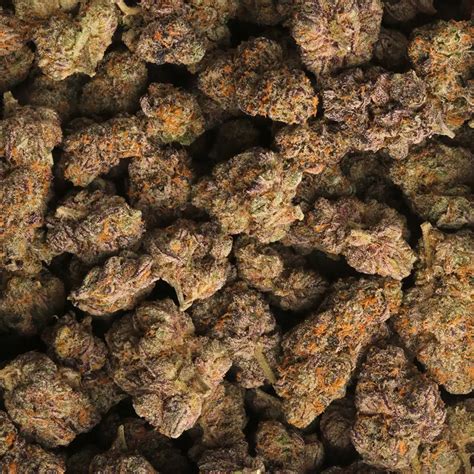 Named after the soy-based Japanese dessert, Mochi is a combination of staple hybrid Girl Scout Cookies and fruity Sunset Sherbet. It carries a sweet, herbal aroma and an even balance of mental and physical effects. This strain's THC content has been measured at between 21% and a whopping 29%. Mochi establishes its bag appeal immediately with .... 