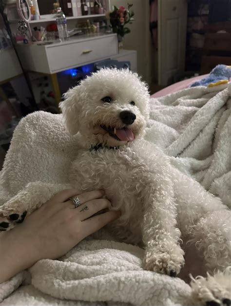 💦 PORN Gucciboujiebye Onlyfans Leak