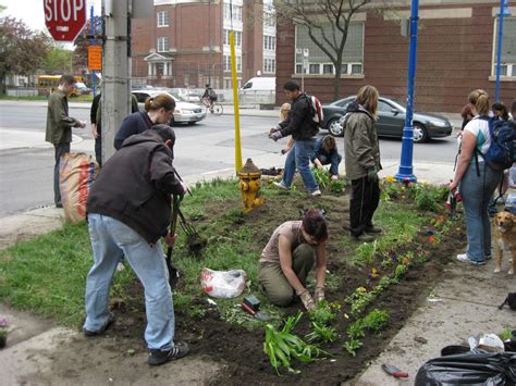 Guerilla gardening. Guerrilla gardening is the act of cultivating plants in a public place, usually in a spot that is not otherwise being cared for, often with the aim of improving the … 