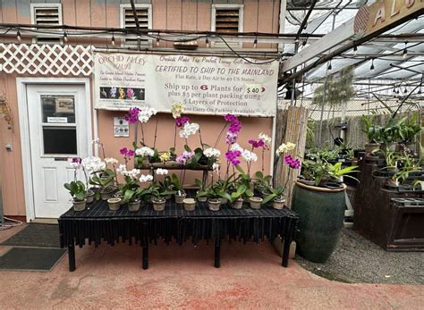 Guess What? Orchid Alley is open... - Orchid Alley Kauai Facebook