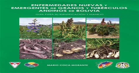 Guía bibliografíca sobre tuberculos andinos en bolivia. - Dyna glo kerosene heater owners manual.