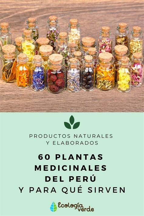 Guia de plantas y productos medicinales. - White rodgers 1f80 261 user manual.