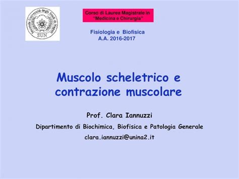 Guida alla codifica muscolo scheletrica aaos 2017. - Dokumentation zur entwicklung in der ddr vom 7. oktober-19. november 1989.