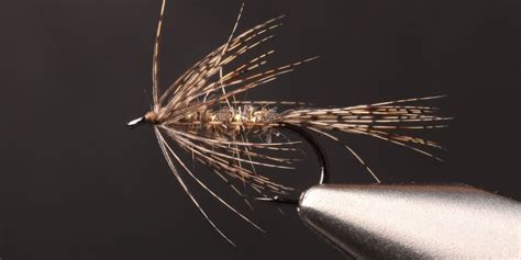 Guida alle mosche volanti per legare mosche di trota essenziali fly tyers guide to tying essential trout flies. - Training manual for sage 50 with samples.