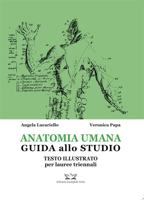 Guida allo studio di anatomia risponde all'angolo di biologia. - History alive the medieval world and beyond study guide.