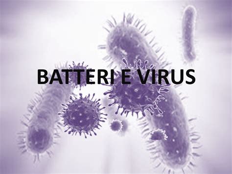 Guida allo studio di batteri e virus. - Manuale di procedura penale tonini ultima edizione.