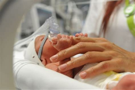 Guida allo studio e revisione dell'assistenza infermieristica neonatale. - Gestion de projet pour la technologie de l'information de santé.