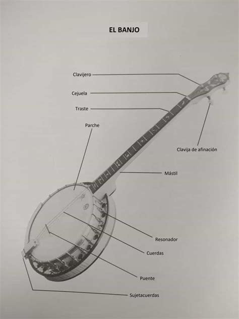 Guida completa per l'apprendimento del banjo tenore irlandese. - Ziel b1 b2 c1 c2 grammatik und wortschatz.