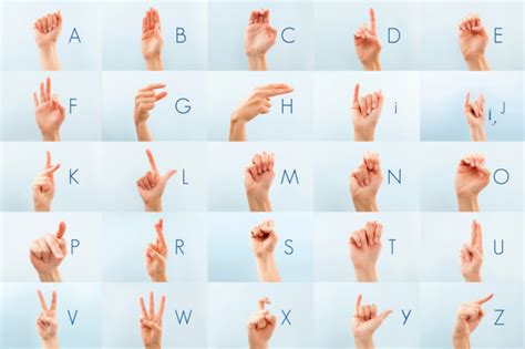 Guida semplice all'edizione kindle della lingua dei segni del bambino. - 2006 yfz 450 manuale di servizio.