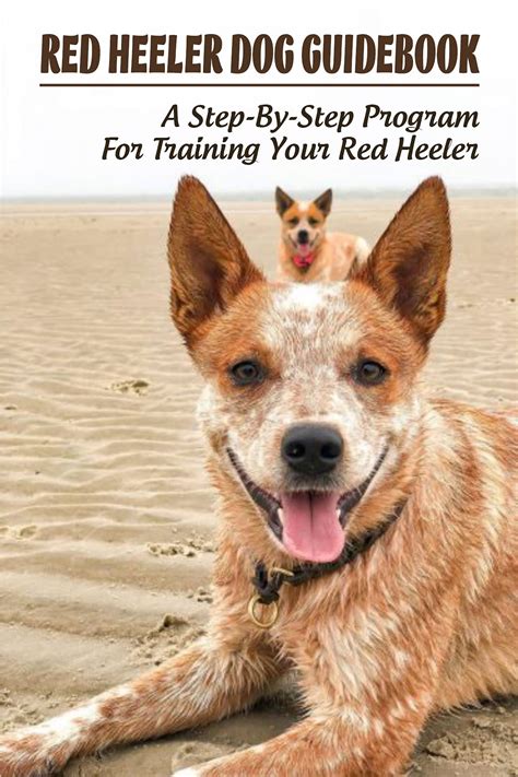 Guide Dog Book