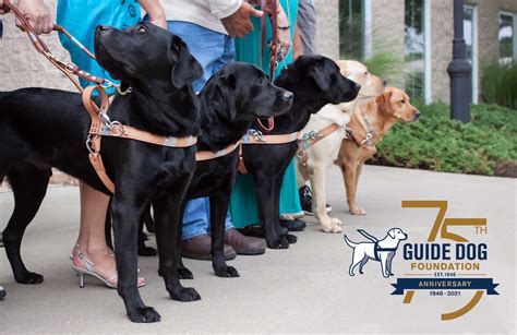 Guide Dog Foundation