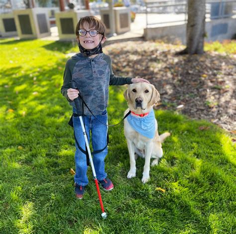 Guide Dogs For The Blind Hamilton