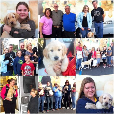 Guide Dogs For The Blind Southern California