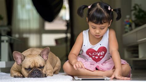 Guide Dogs and iPads come together in new accessibility push TechRadar