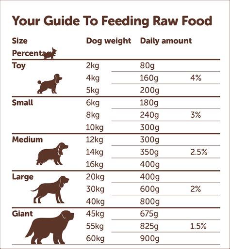 Guide For Dog Food Amount & Feeding Schedule - Pedigree® …