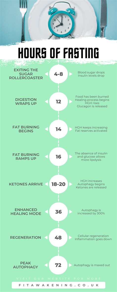 Guide On Fasting