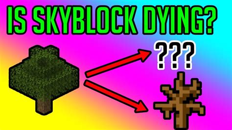 Guide ROCK PET (EVERYTHING you need to know about it!) - Hypixel