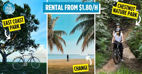 Guide To Bicycle Rental In Singapore, Sorted By Location