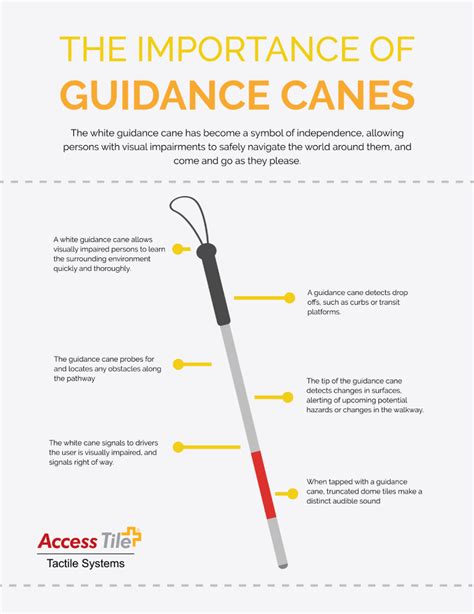 Guide To Canes