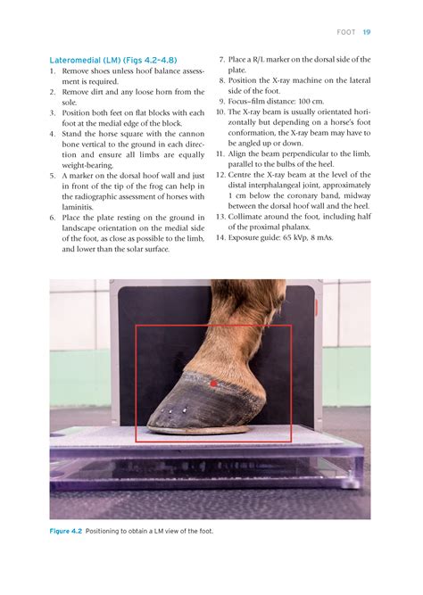 Guide To Equine Field Radiography