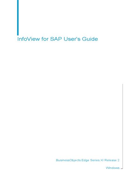 Guide User Sap Infoview