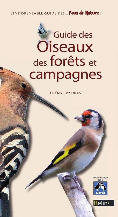 Guide des oiseaux des forets et campagnes. - Van het toezicht op het onderwijs.