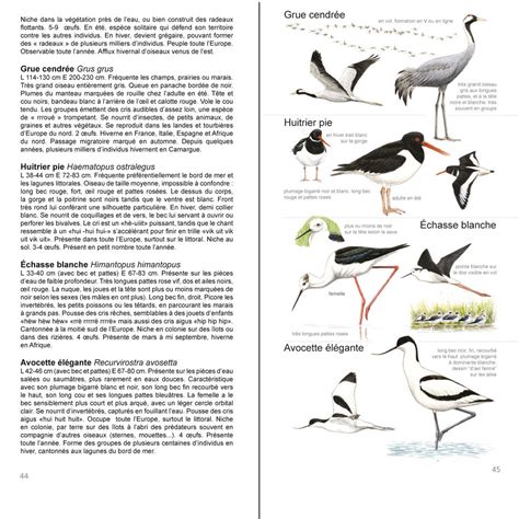 Guide des oiseaux du littoral ma diterrana en et de camargue. - Hibbler mechanics of materials solution manual.