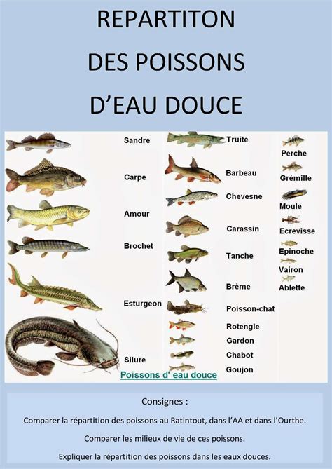 Guide des recettes poissons eau de mer et douce. - Aprilia rotax 655 1995 factory service repair manual.