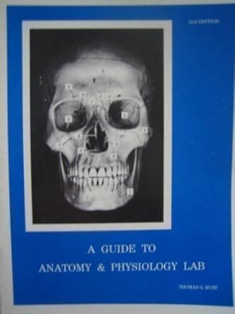 Guide for anatomy physiology lab rust. - Al maturidi the development of sunni theology.